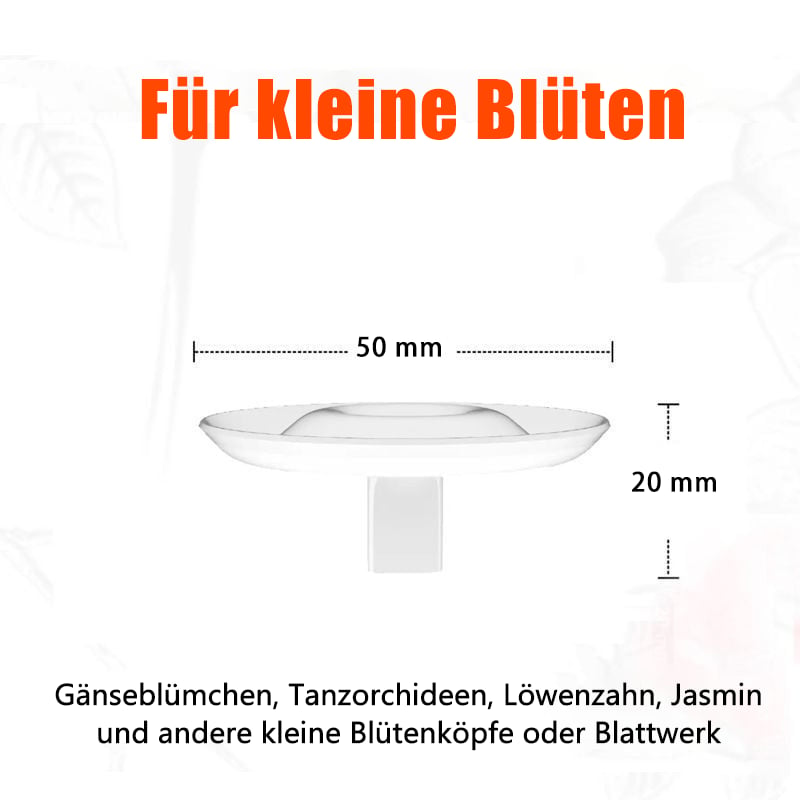 BlütenEleganz – Perfekte Präsentation für Ihre Blumen