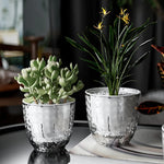 SmartWater Blumenpot mit Selbstbewässerung und transparentem Design