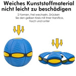 FlitzDisc: The versatile 2-in-1 dog toy for every kind of fun