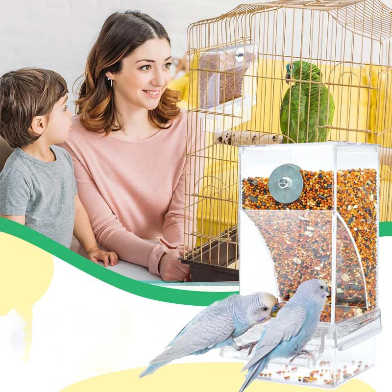 Automatic overflow protection for transparent bird feeders