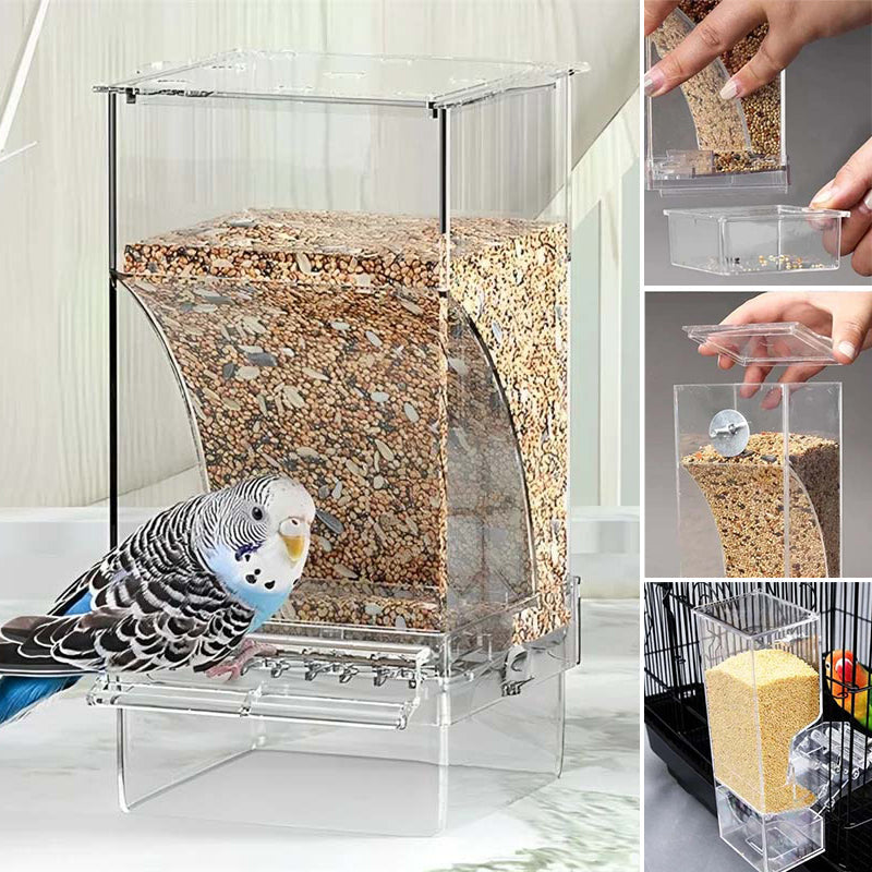 Automatic overflow protection for transparent bird feeders