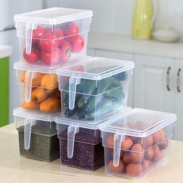 Practical freezer box with handle for food storage