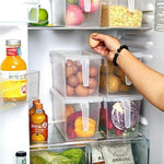 Practical freezer box with handle for food storage