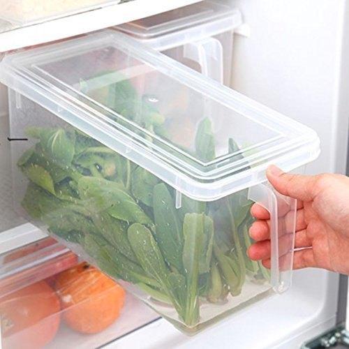 Practical freezer box with handle for food storage