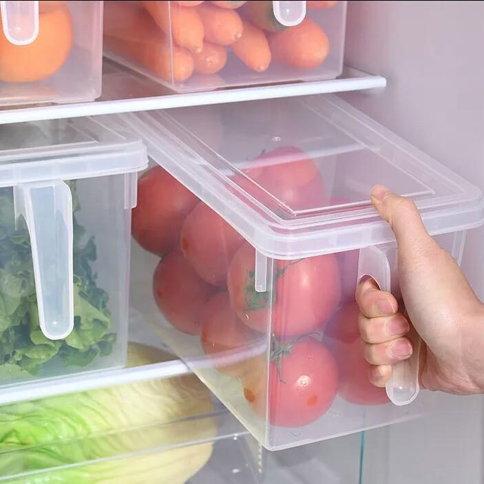 Practical freezer box with handle for food storage