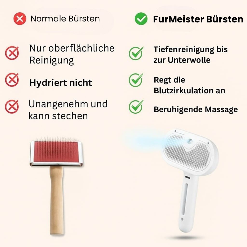 Bild-Alt-Text