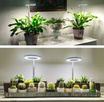 Naturlicht Pro - Vollspektrum Pflanzenlampe mit flexiblem Ständer