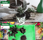 Voltyx Stainless Steel Garden Solution Bowl