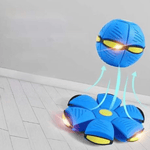 FlitzDisc: The versatile 2-in-1 dog toy for every kind of fun