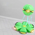 FlitzDisc: The versatile 2-in-1 dog toy for every kind of fun