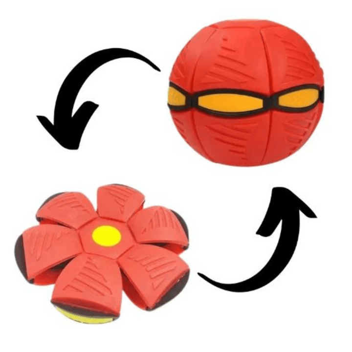 FlitzDisc: The versatile 2-in-1 dog toy for every kind of fun