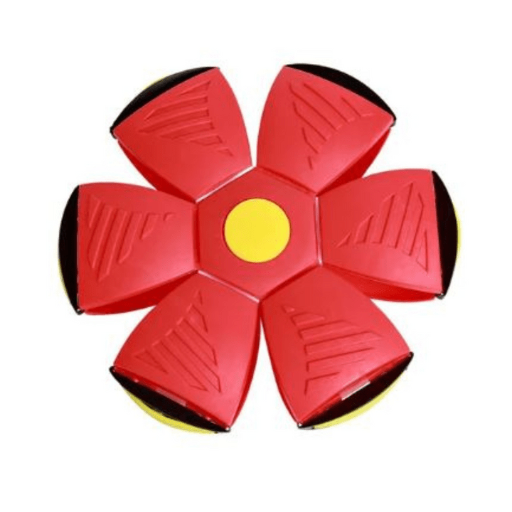FlitzDisc: The versatile 2-in-1 dog toy for every kind of fun