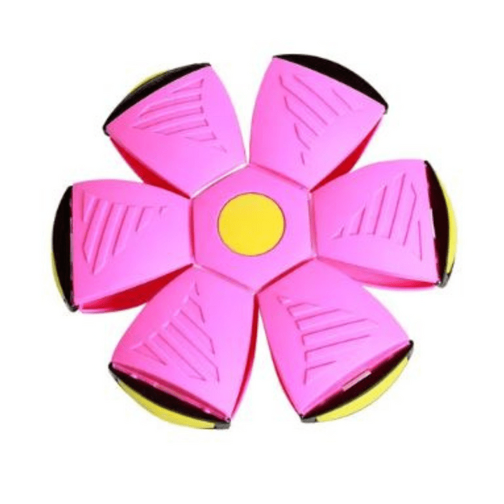 FlitzDisc: The versatile 2-in-1 dog toy for every kind of fun