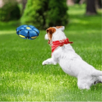 FlitzDisc: The versatile 2-in-1 dog toy for every kind of fun