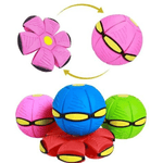 FlitzDisc: The versatile 2-in-1 dog toy for every kind of fun