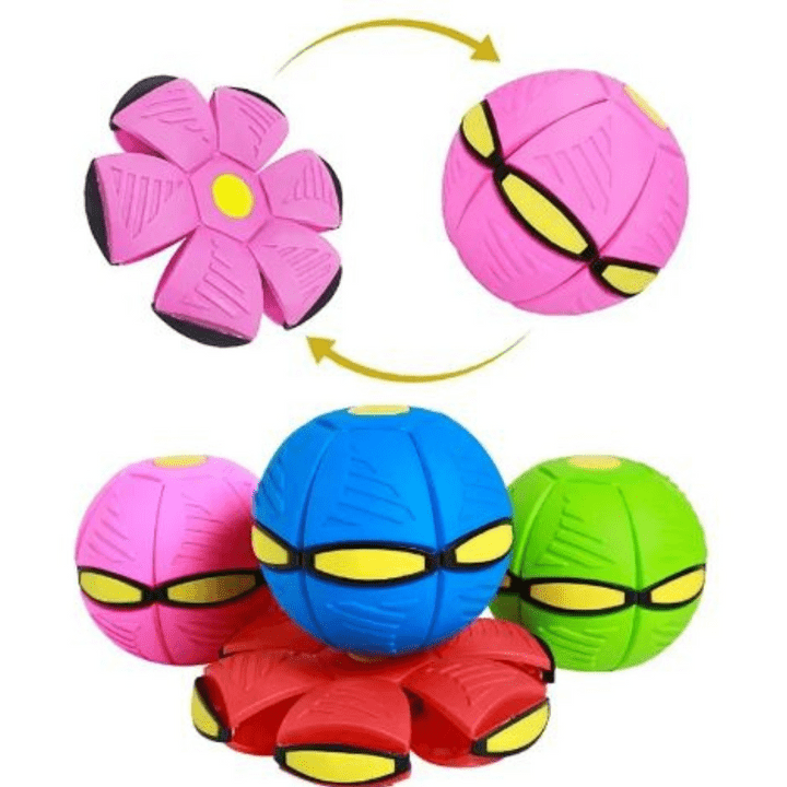 FlitzDisc: The versatile 2-in-1 dog toy for every kind of fun