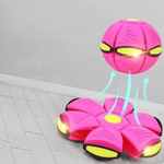 FlitzDisc: The versatile 2-in-1 dog toy for every kind of fun