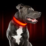GlowHund LED Light-Up Dog Collar – Visibility guaranteed!