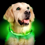 GlowHund LED Light-Up Dog Collar – Visibility guaranteed!