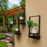 Modern Plant Wall Mount for Your Home | GrünWand