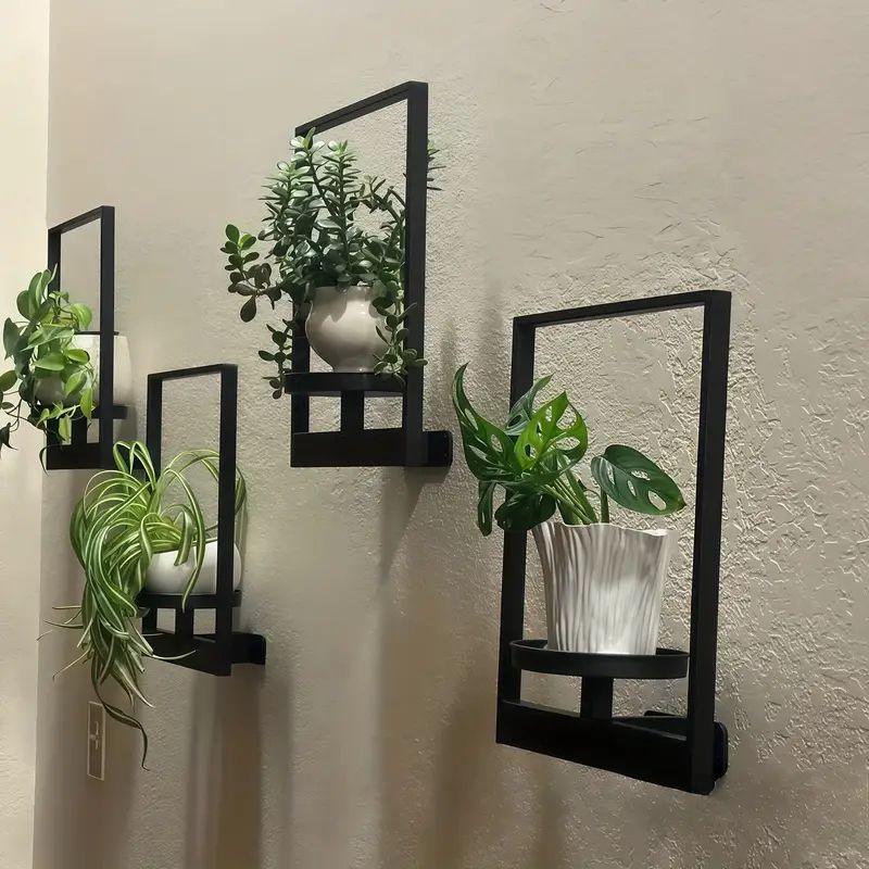 Modern Plant Wall Mount for Your Home | GrünWand