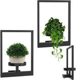 Modern Plant Wall Mount for Your Home | GrünWand