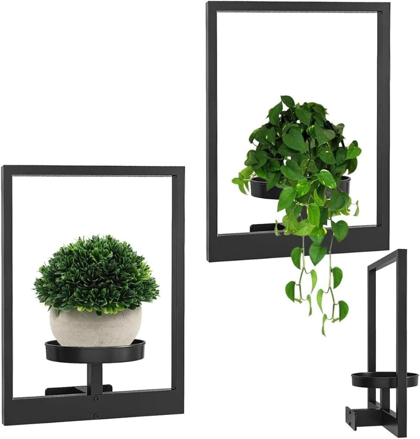 Modern Plant Wall Mount for Your Home | GrünWand