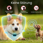 Sanftes Anti-Bell-Halsband für entspannte Hundemomente