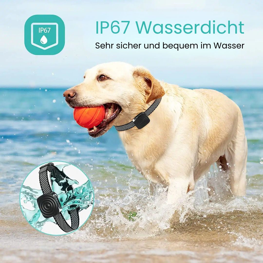 Sanftes Anti-Bell-Halsband für entspannte Hundemomente
