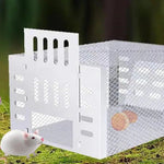 Self-activating mouse trap