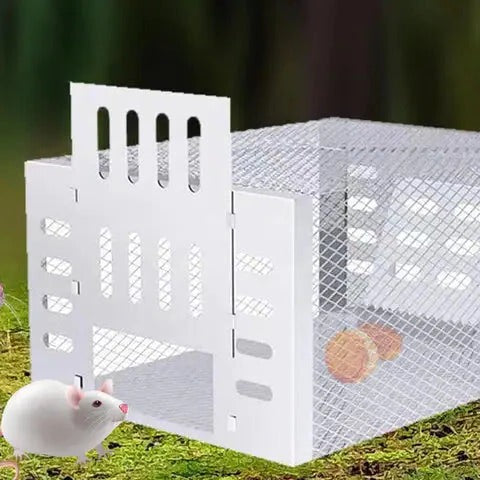 Self-activating mouse trap