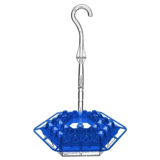 Insect-Free Hummingbird Feeder with Outdoor Hanging