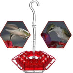 Insect-Free Hummingbird Feeder with Outdoor Hanging