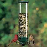 Bird feeder without squirrel attacks