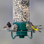 Bird feeder without squirrel attacks
