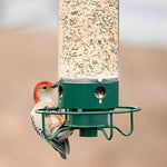 Vogelfutterspender mit Nager-Schutz