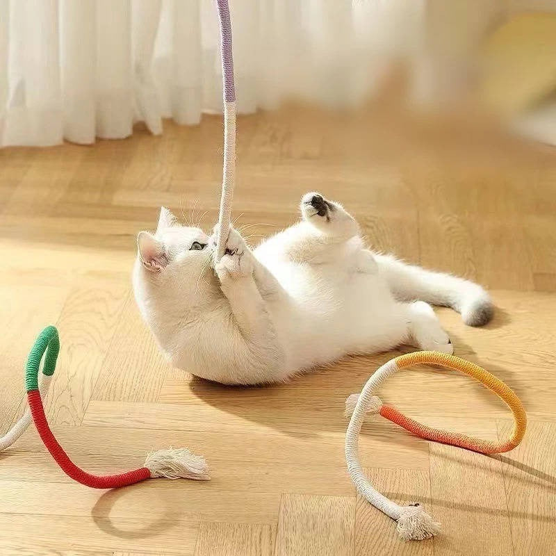 Katzenspielzeuge für verspielte Kätzchen