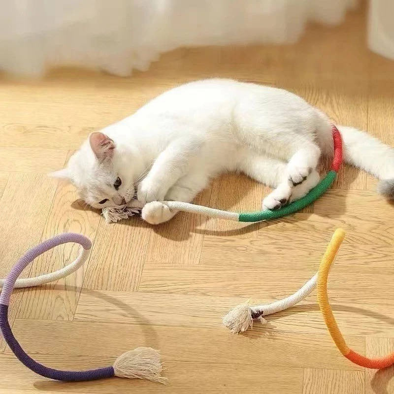 Cat Toys for Playful Kittens - Healthy Chewing