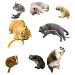 Katzenspielzeuge für verspielte Kätzchen