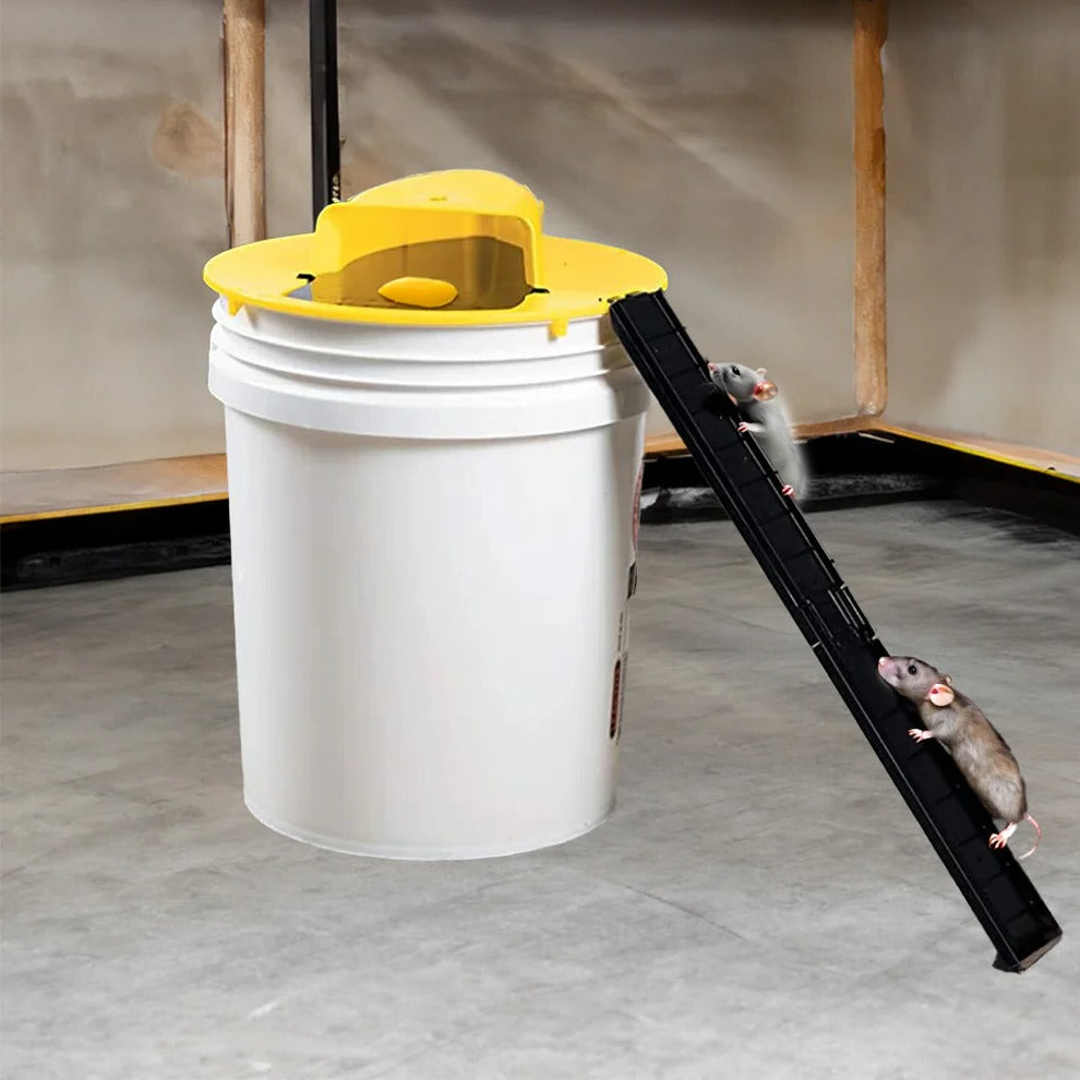 Reusable, humane bucket mousetrap