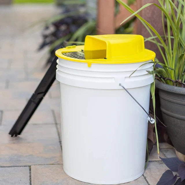Reusable, humane bucket mousetrap