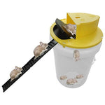 Reusable, humane bucket mousetrap