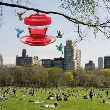 Bee-safe Hummingbird Feeder with 16oz Capacity