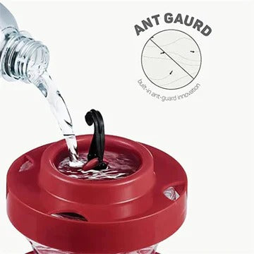 Bee-safe Hummingbird Feeder with 16oz Capacity