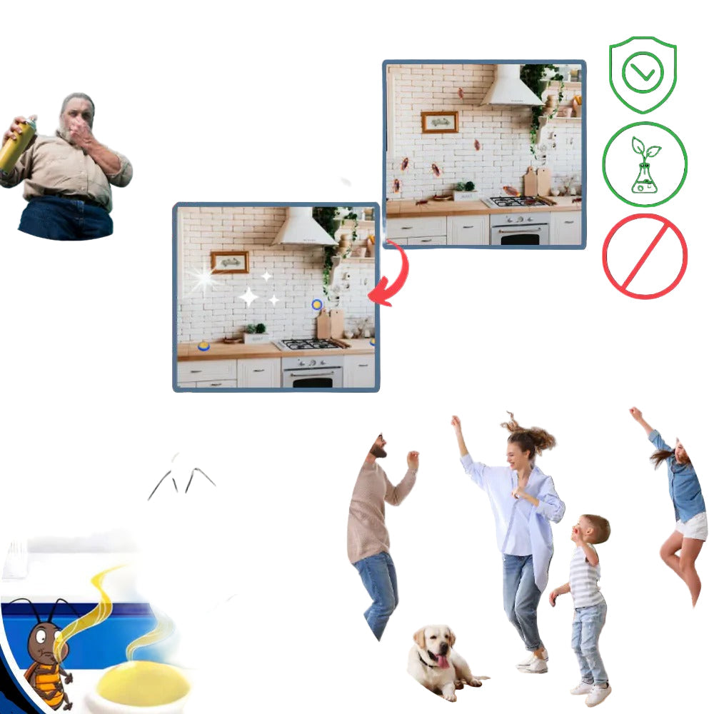 Geruchslose Kakerlakenfallen für effektive Schädlingsbekämpfung