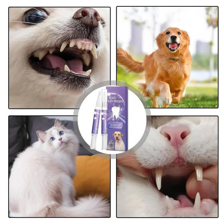 3er Set Zahnpflege-Gel für Hunde