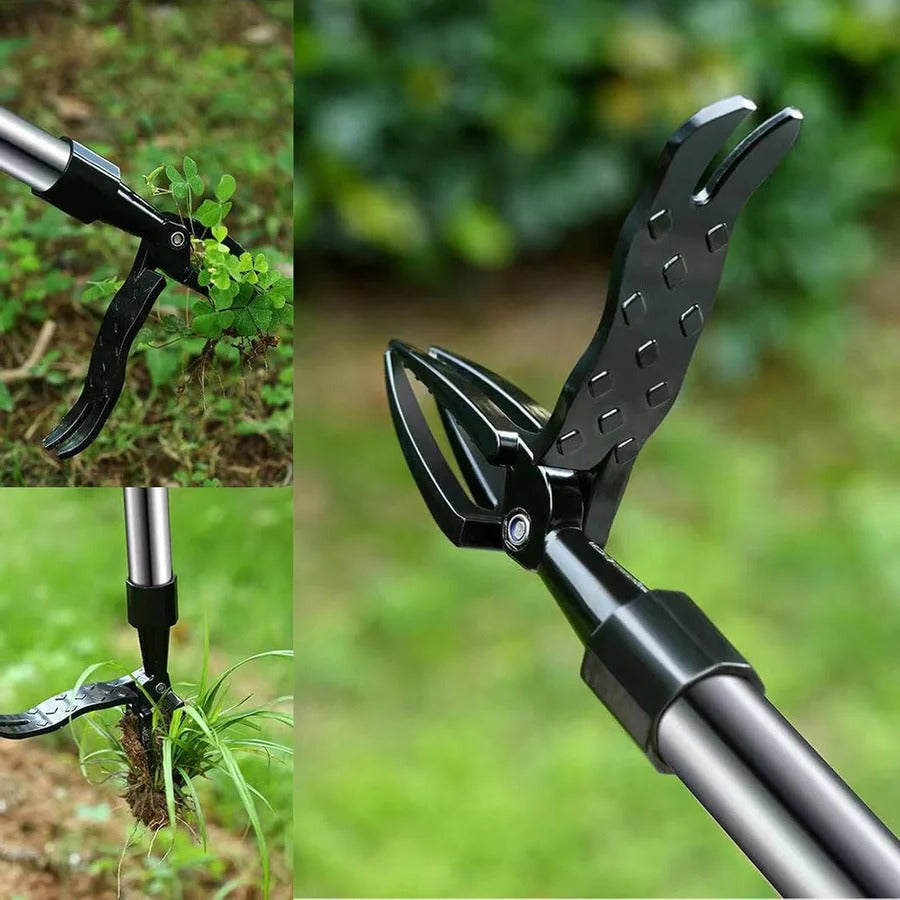 Standing Weeder with Long Handle