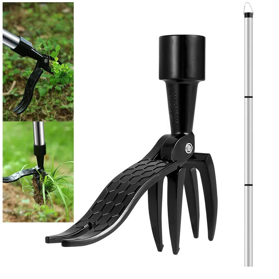 Standing Weeder with Long Handle