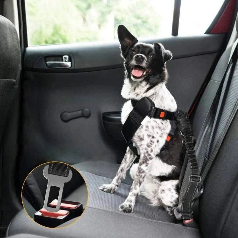 Sicherheitsgurt für den Hund im Auto – Bequem und Zuverlässig