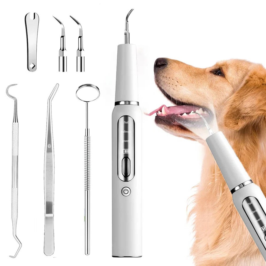 Dental Care Device for Dogs – Gentle Plaque Removal at Home